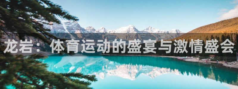 看球通体育app官方下载