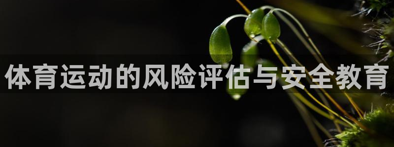 看球通体育直播在线观看