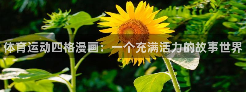 看球通体育APP