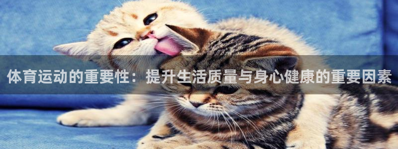 看球通体育在线直播nba