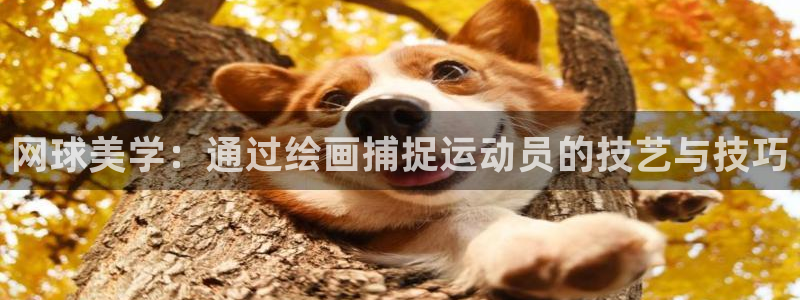 看球通体育网页版：网球美学：通过绘画捕捉运动员的技艺与技巧