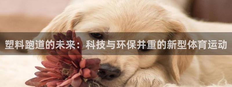 看球通体育免费观看入口