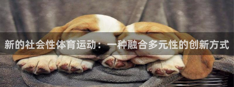 看球通体育app：新的社会性体育运动：一种融合多元性的创新方式